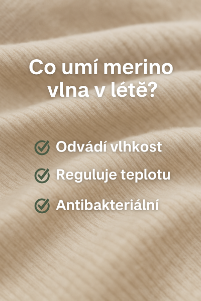 merino body